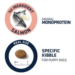 Affinity Advance Puppy Sensitive Lachs & Reis -Haustierprodukte affinity advance puppy sensitive zalm en rijst 177883 0500 none