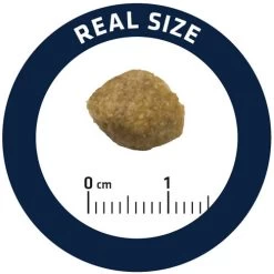 Affinity Advance Veterinary Diets Urinary Hund -Haustierprodukte affinity advance veterinary diets urinary hond 177694 0500 none