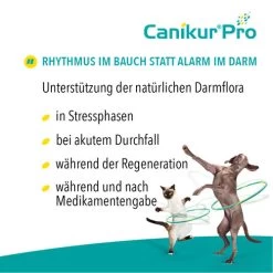 Canikur® Pro Diät-Ergänzungsfuttermittel Für Hunde -Haustierprodukte canikur pro 213692 0500 none