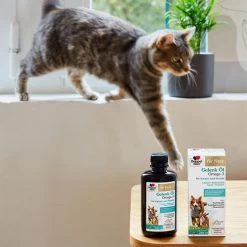 Doppelherz Gelenk Öl Omega-3 Für Katzen Und Hunde -Haustierprodukte doppelherz gelenk oel fuer katzen hunde 195062 0500 none