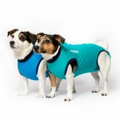 Jacketz Medical Body Suit Für Hunde -Haustierprodukte jacketz medical body suit hond 209519 0500 none