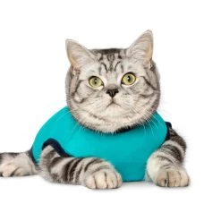 Jacketz Medical Body Suit Für Katzen -Haustierprodukte jacketz medical body suit kat 209783 0500 none