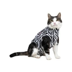 Medical Pet Shirt Katze Zebra-Muster