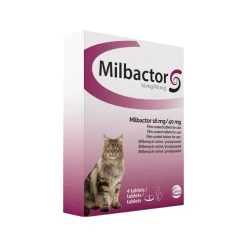 Milbactor Katze 5 Milbactor Katze -Haustierprodukte milbactor kat 176953 0500 none