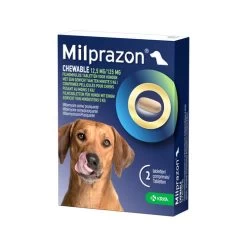 Milprazon Chewable Hund -Haustierprodukte milprazon chewable hond 206282 0500 none