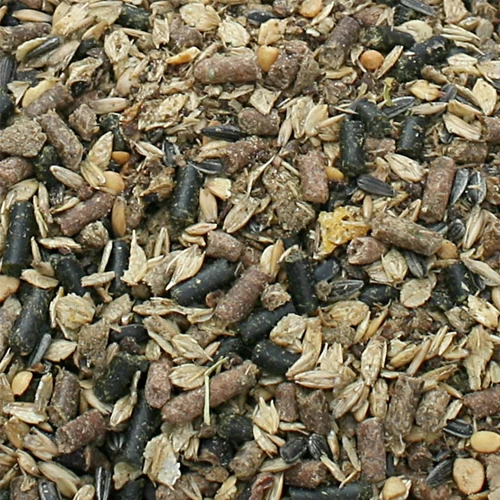 Bonpard Motility 2 Bonpard Motility – Bild 2