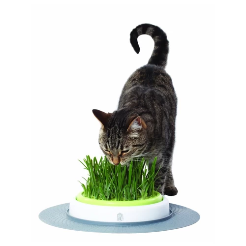 Catit Senses Katzengrassamenset – Bild 3