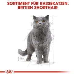 Royal Canin British Shorthair Adult Wet - Katzenfutter -Haustierprodukte royal canin british shorthair adult wet kattenvoer 125495 0500 none