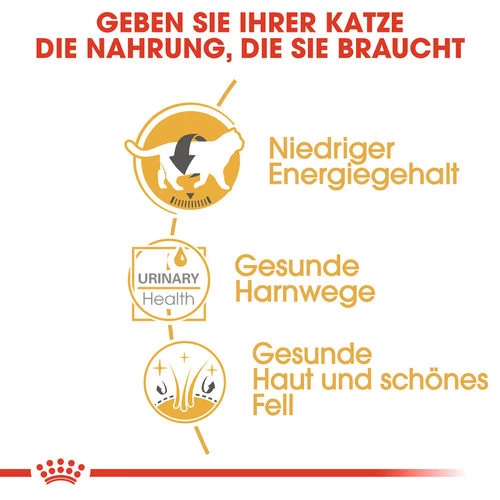 Royal Canin British Shorthair Adult Wet - Katzenfutter – Bild 2