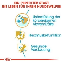 Royal Canin Cavalier King Charles Puppy - Hundefutter -Haustierprodukte royal canin cavalier king charles puppy hondenvoer 137923 0500 none