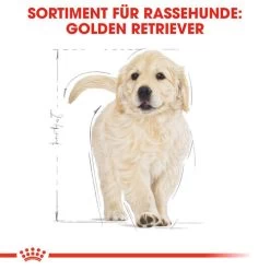 Royal Canin Golden Retriever Puppy - Hundefutter -Haustierprodukte royal canin golden retriever puppy hondenvoer 138958 0500 none