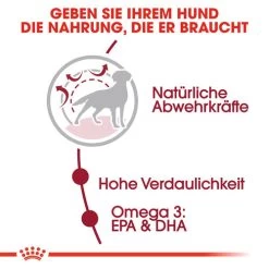 Royal Canin Medium Adult - Hundefutter -Haustierprodukte royal canin medium adult hondenvoer 128537 0500 none