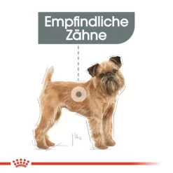 Royal Canin Mini Dental Care - Hundefutter -Haustierprodukte royal canin mini dental care hondenvoer 130985 0500 none