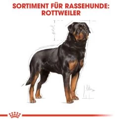 Royal Canin Rottweiler Adult - Hundefutter -Haustierprodukte royal canin rottweiler adult hondenvoer 139936 0500 none