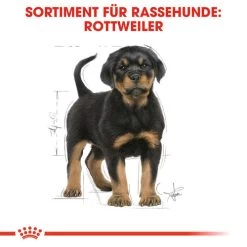 Royal Canin Rottweiler Puppy - Hundefutter -Haustierprodukte royal canin rottweiler puppy hondenvoer 140029 0500 none
