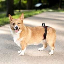 PetSafe Carelift - Tragesystem / Tragegeschirr Für Hunde -Haustierprodukte solvit carelift draagsysteem voor de hond 163711 0500 none