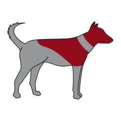 ZenPet Pro Collar 12 ZenPet Pro Collar -Haustierprodukte zenpet pro collar 193865 0500 none